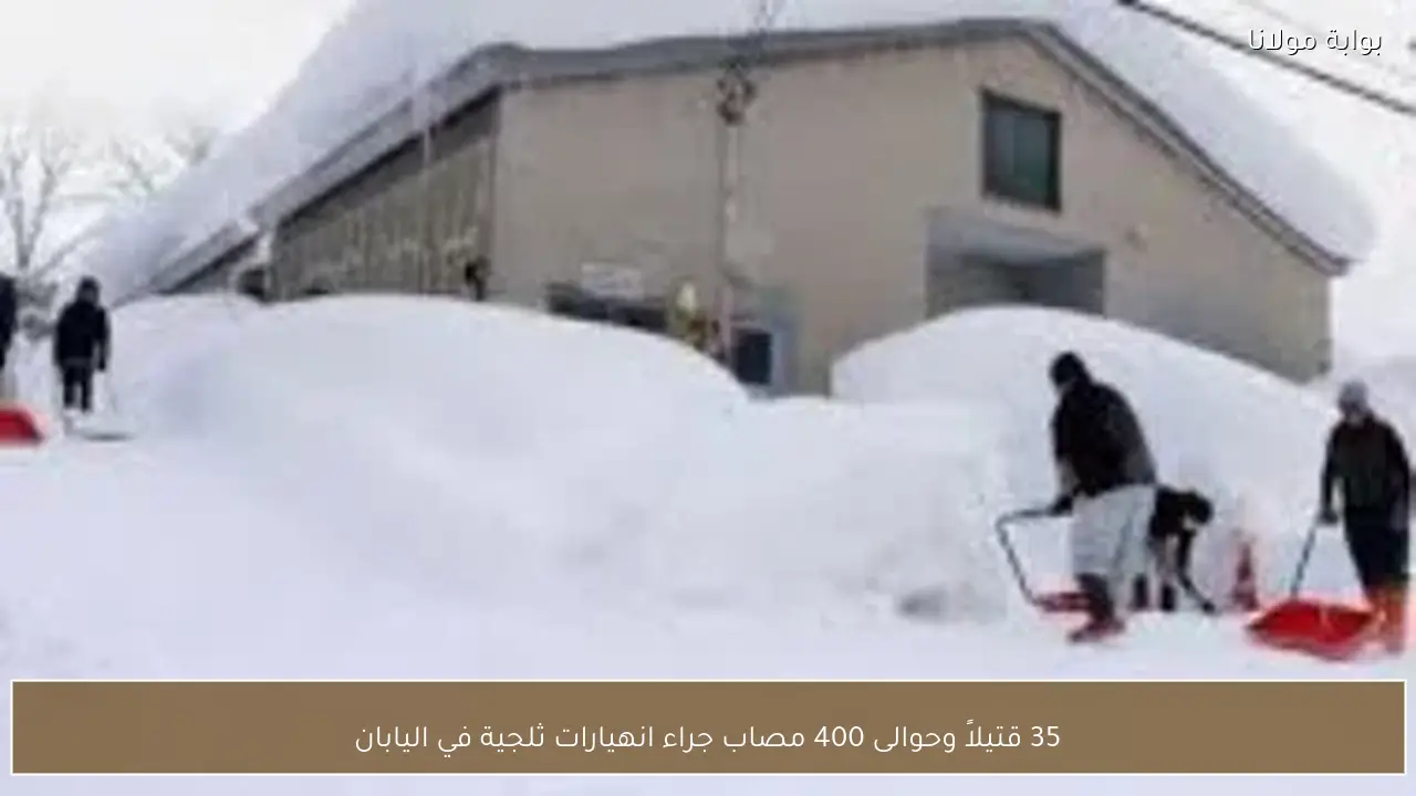 35 قتيلاً وحوالى 400 مصاب جراء انهيارات ثلجية في اليابان