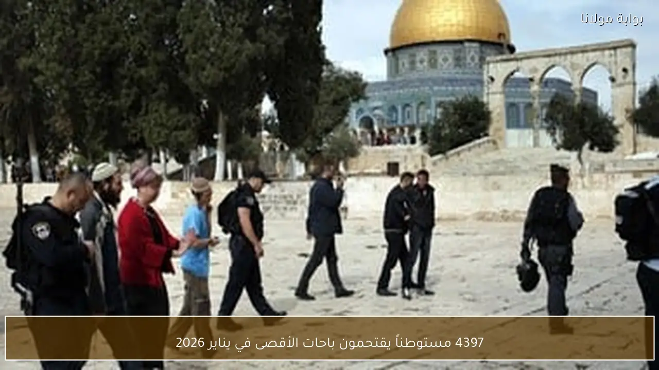 4397 مستوطناً يقتحمون باحات الأقصى في يناير 2026