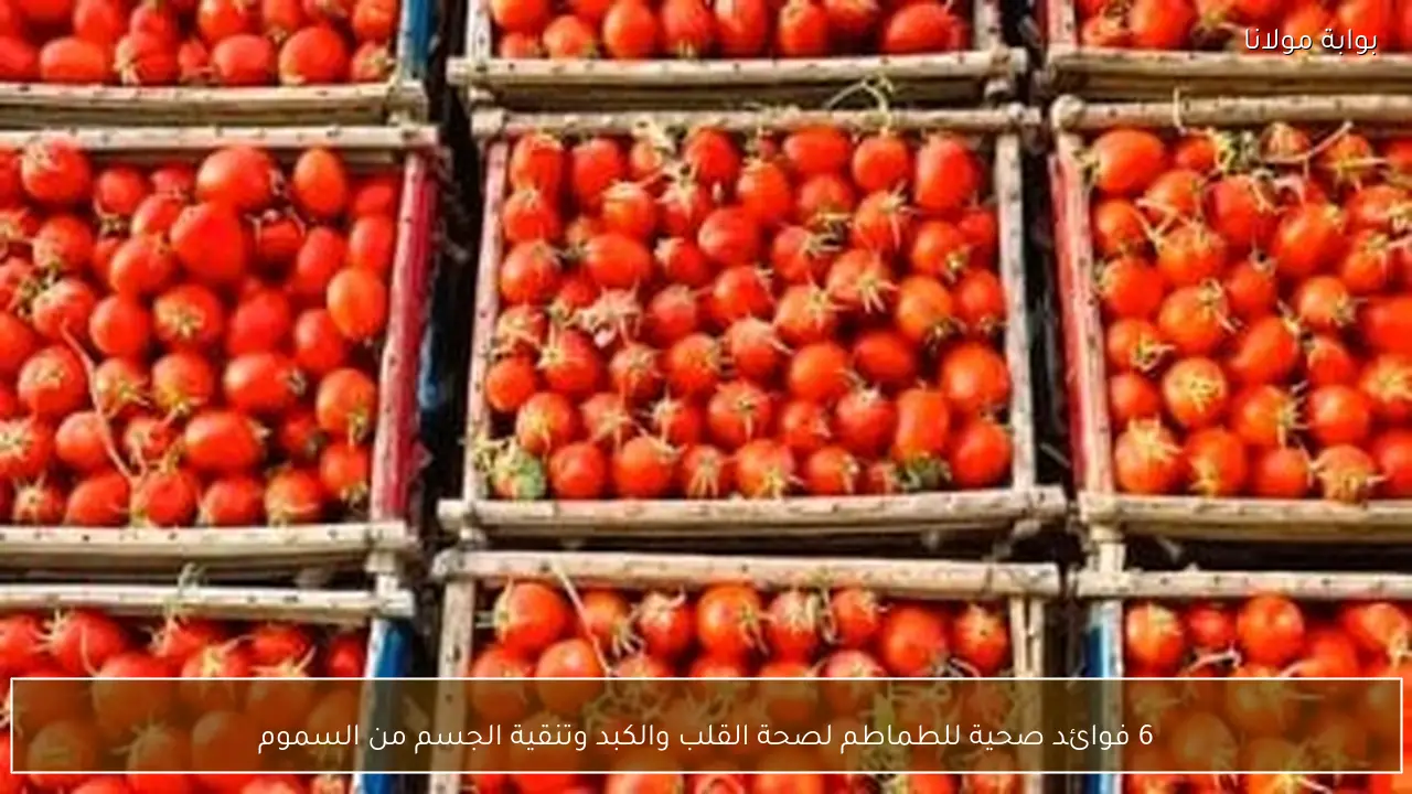 6 فوائد صحية للطماطم لصحة القلب والكبد وتنقية الجسم من السموم