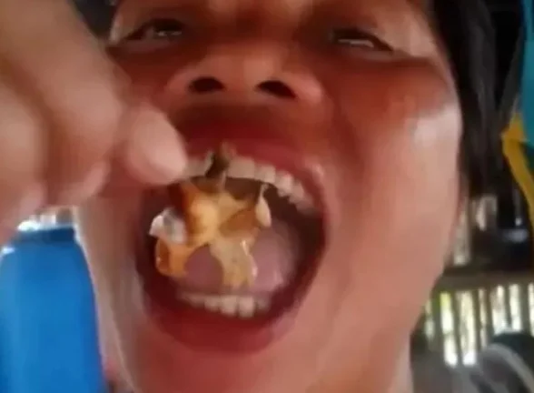 6 مؤثرين رحلوا في 60 يوماً بعد تأثير التريند عليهم – مشاهير 6 مؤثرين رحلوا في 60 يوماً بعد تأثير التريند عليهم – مشاهير