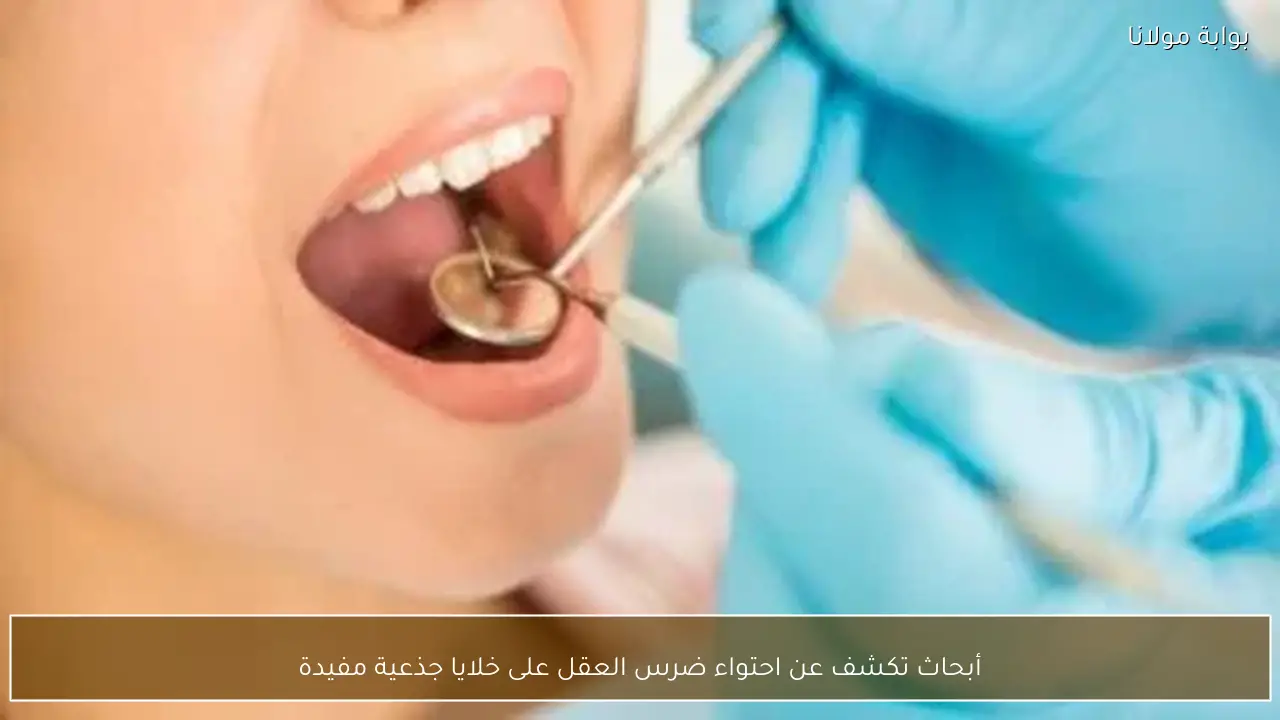 أبحاث تكشف عن احتواء ضرس العقل على خلايا جذعية مفيدة