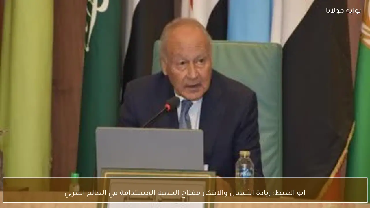 أبو الغيط: ريادة الأعمال والابتكار مفتاح التنمية المستدامة في العالم العربي