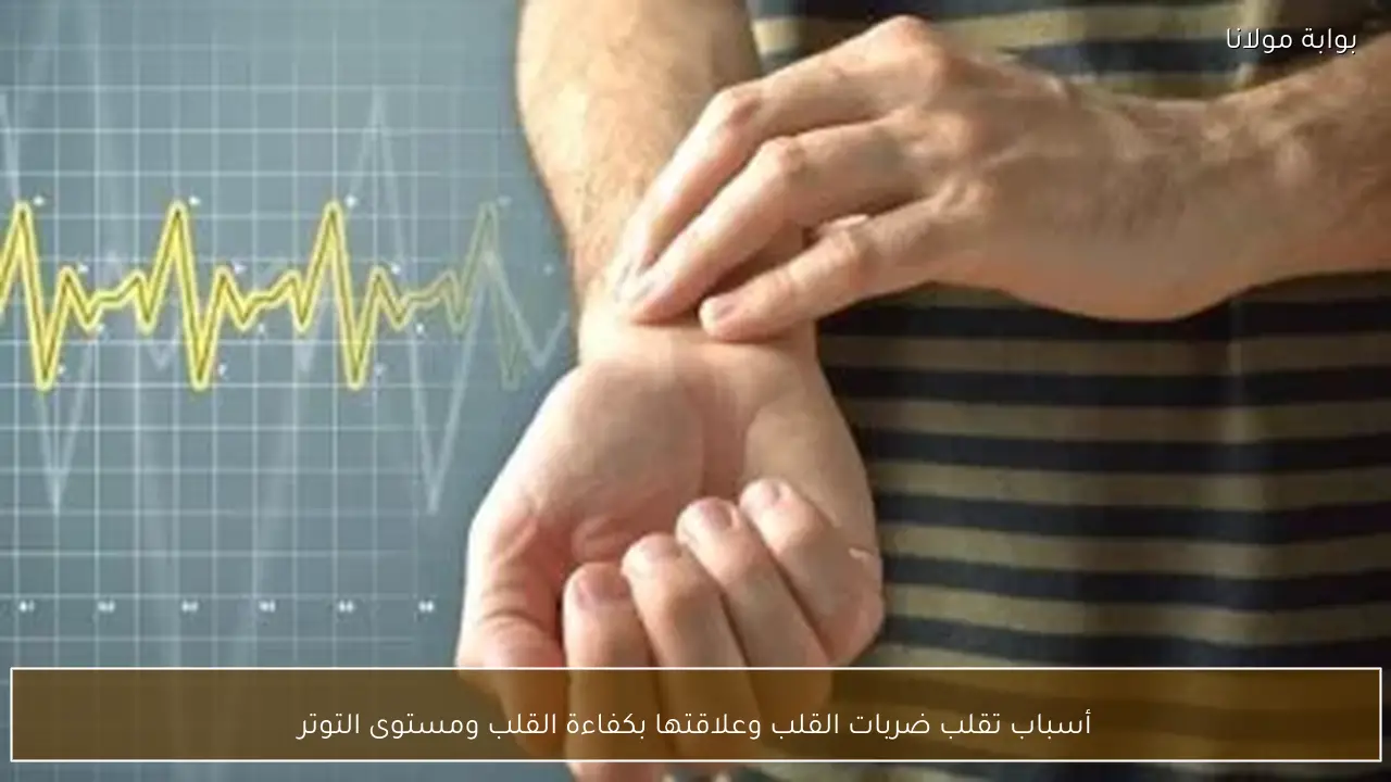 أسباب تقلب ضربات القلب وعلاقتها بكفاءة القلب ومستوى التوتر
