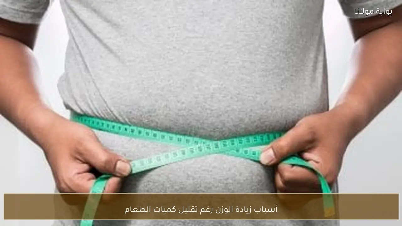 أسباب زيادة الوزن رغم تقليل كميات الطعام
