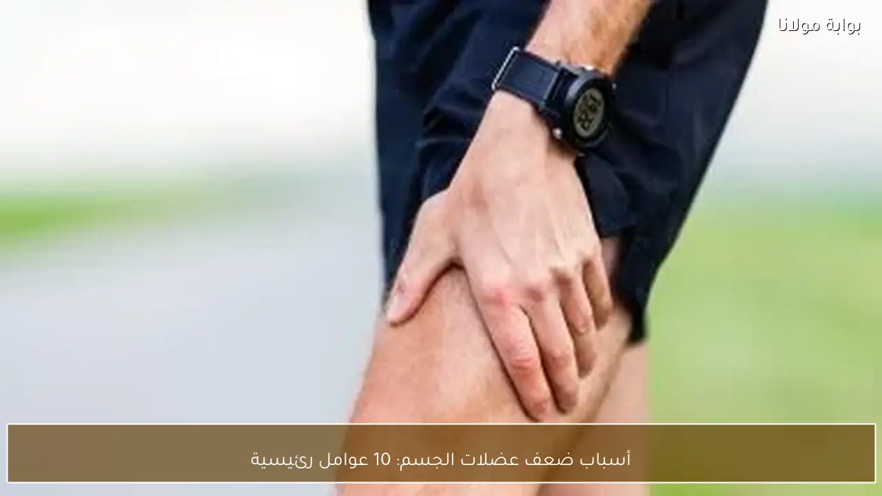 أسباب ضعف عضلات الجسم: 10 عوامل رئيسية