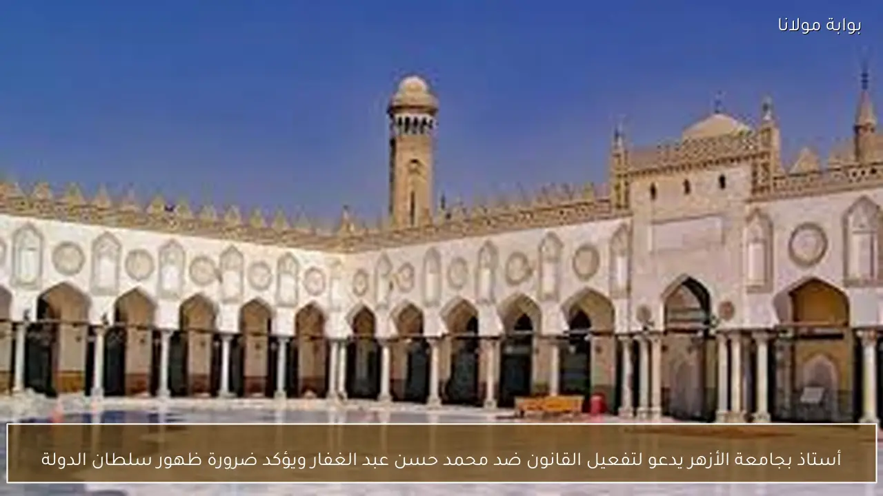 أستاذ بجامعة الأزهر يدعو لتفعيل القانون ضد محمد حسن عبد الغفار ويؤكد ضرورة ظهور سلطان الدولة