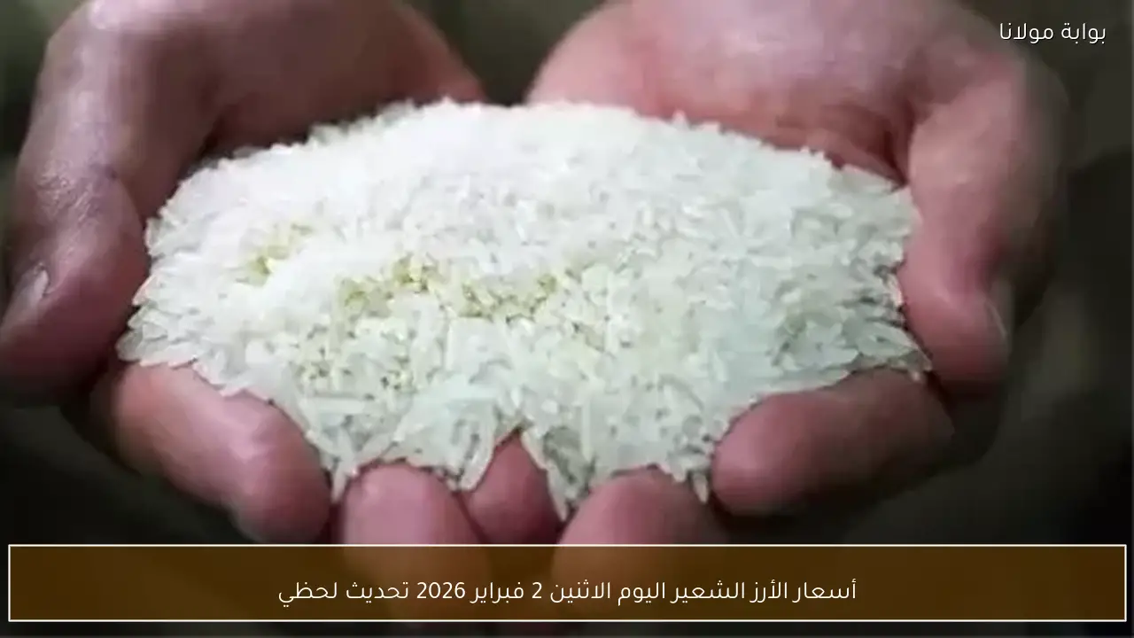 أسعار الأرز الشعير اليوم الاثنين 2 فبراير 2026 تحديث لحظي