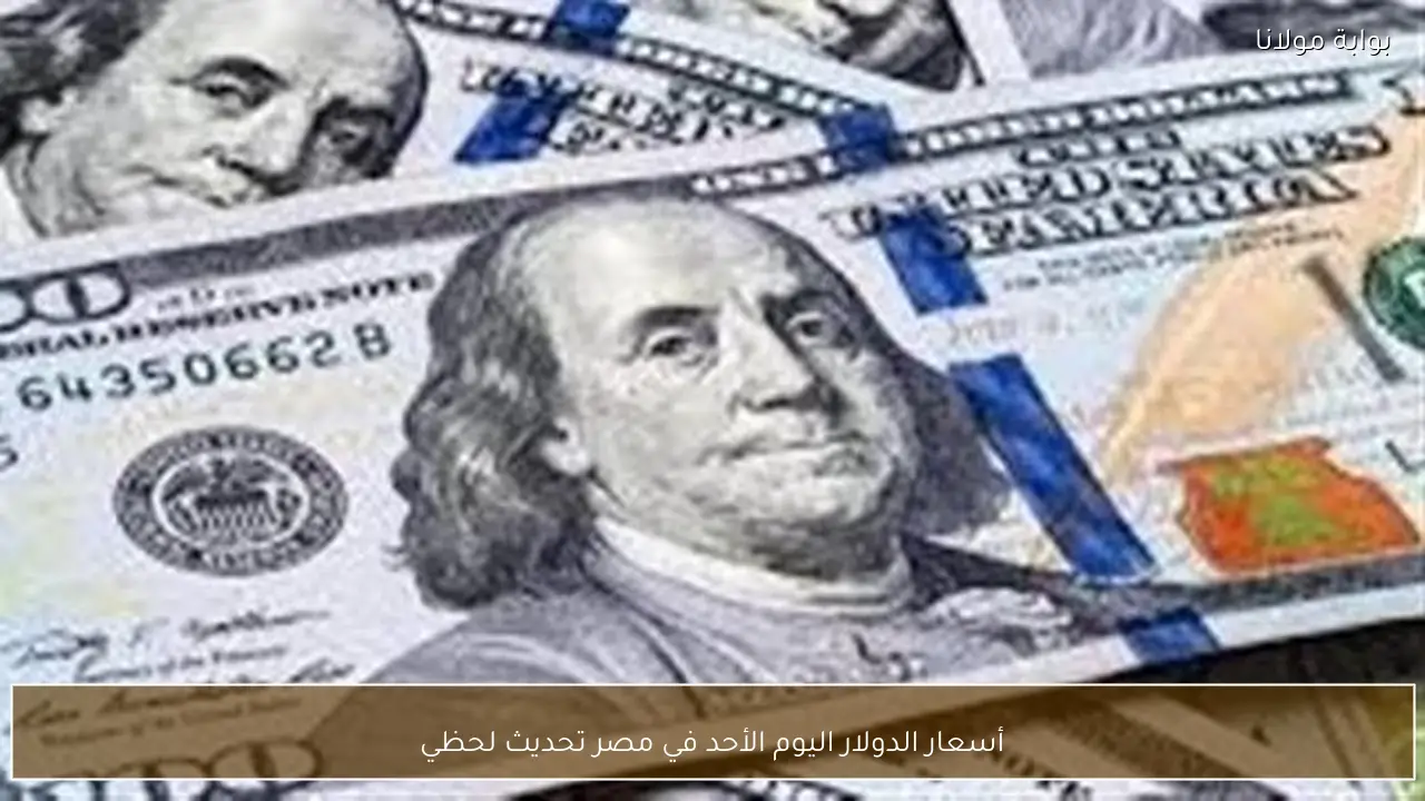 أسعار الدولار اليوم الأحد في مصر تحديث لحظي