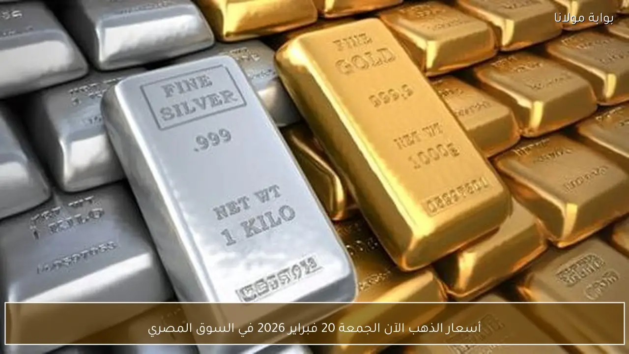 أسعار الذهب الآن الجمعة 20 فبراير 2026 في السوق المصري
