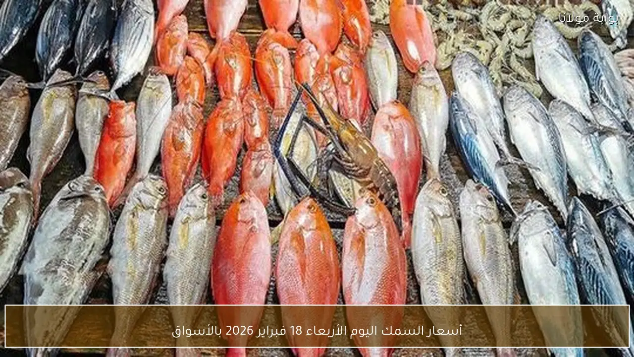 أسعار السمك اليوم الأربعاء 18 فبراير 2026 بالأسواق