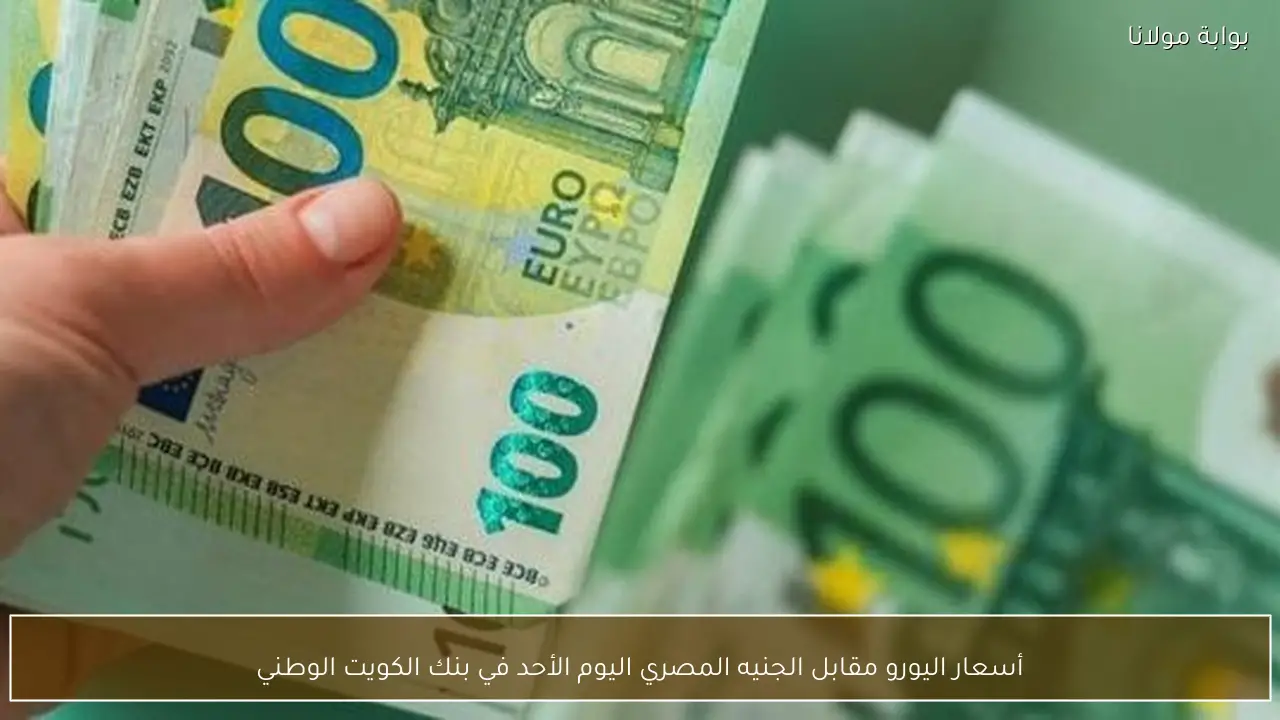 أسعار اليورو مقابل الجنيه المصري اليوم الأحد في بنك الكويت الوطني