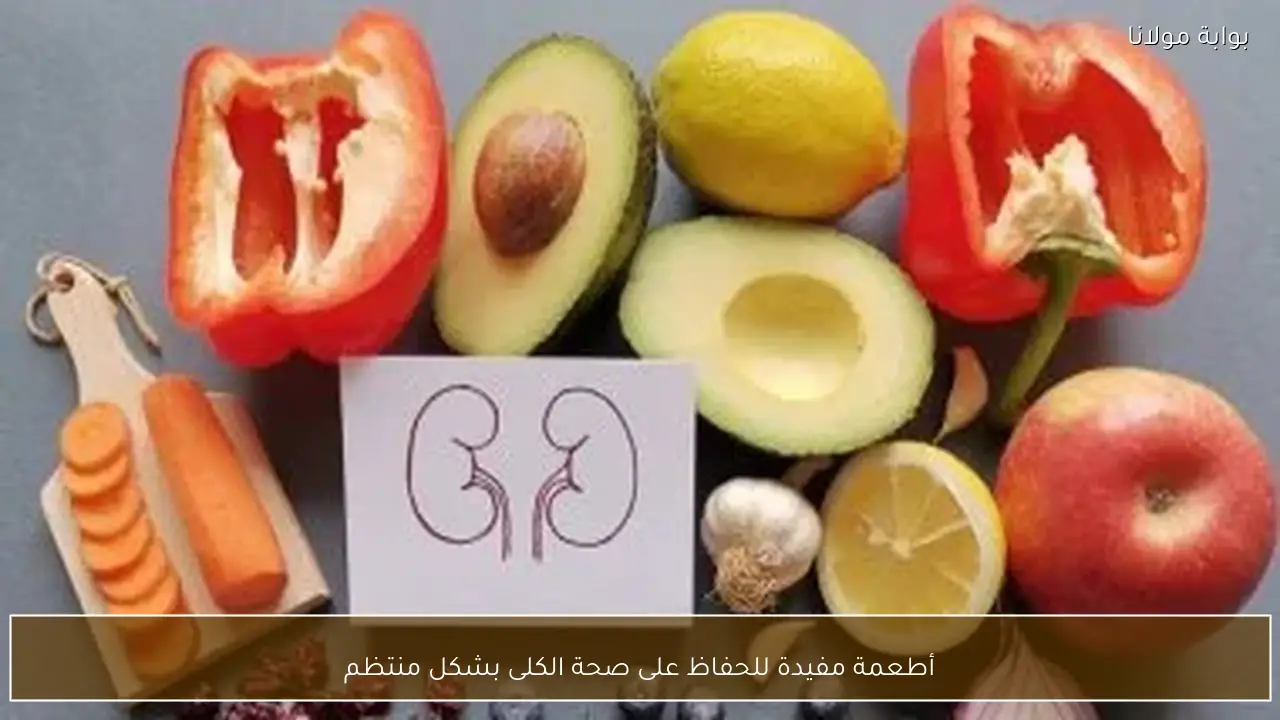 أطعمة مفيدة للحفاظ على صحة الكلى بشكل منتظم