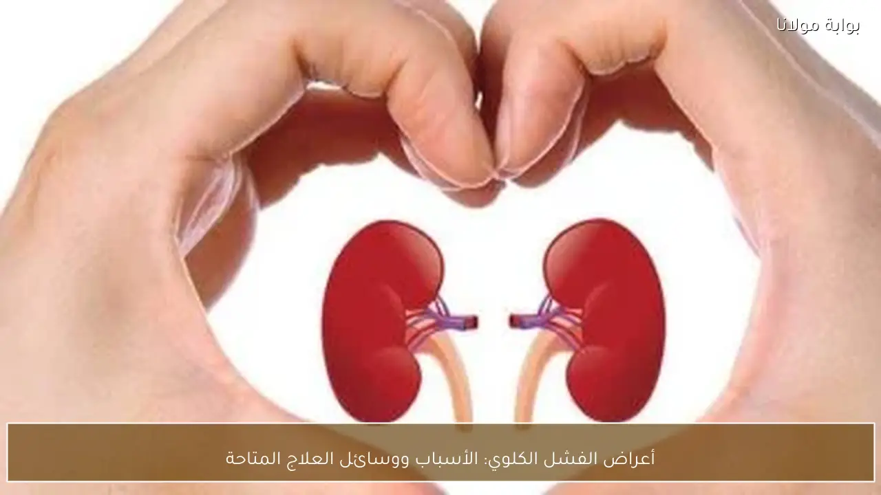 أعراض الفشل الكلوي: الأسباب ووسائل العلاج المتاحة