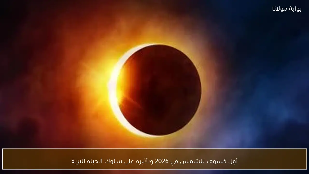 أول كسوف للشمس في 2026 وتأثيره على سلوك الحياة البرية