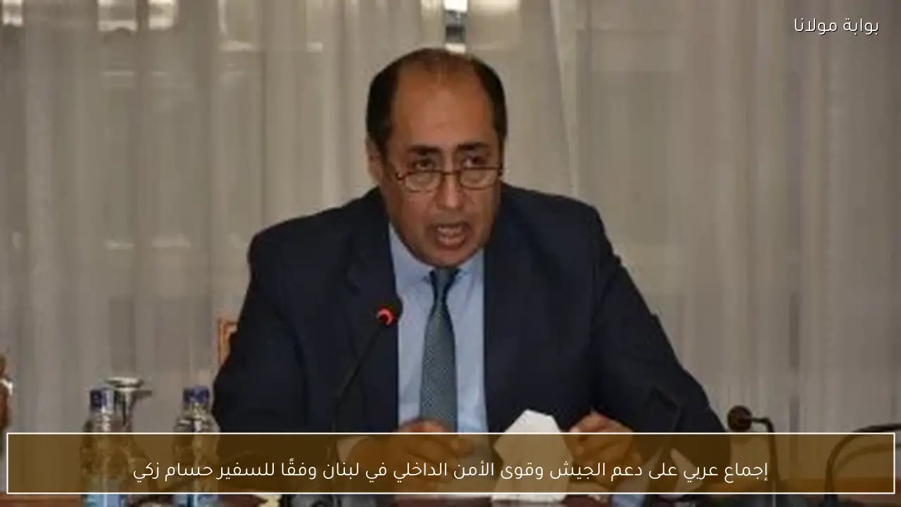 إجماع عربي على دعم الجيش وقوى الأمن الداخلي في لبنان وفقًا للسفير حسام زكي