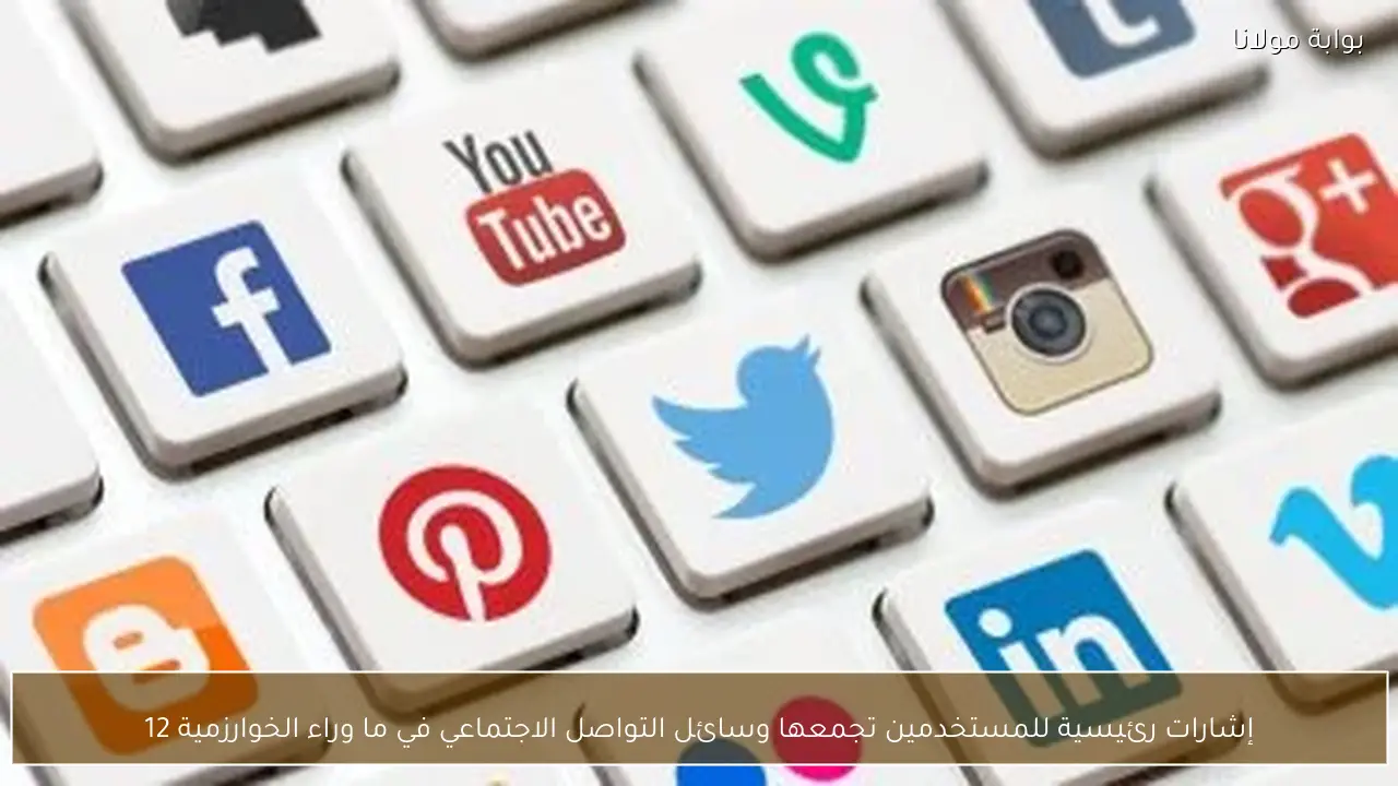 إشارات رئيسية للمستخدمين تجمعها وسائل التواصل الاجتماعي في ما وراء الخوارزمية 12