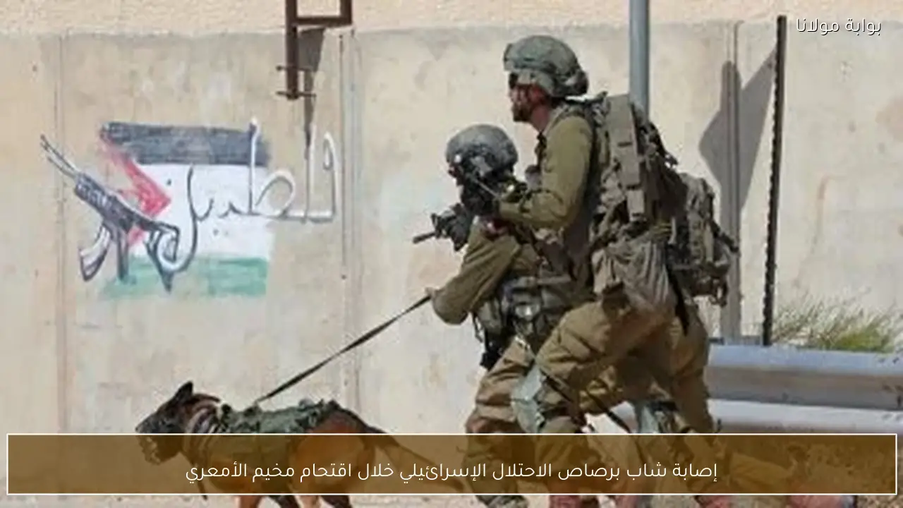 إصابة شاب برصاص الاحتلال الإسرائيلي خلال اقتحام مخيم الأمعري