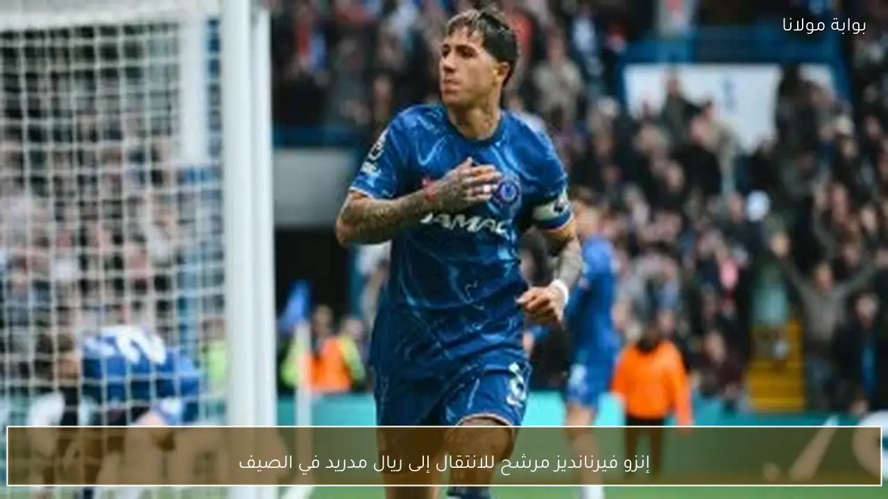 إنزو فيرنانديز مرشح للانتقال إلى ريال مدريد في الصيف