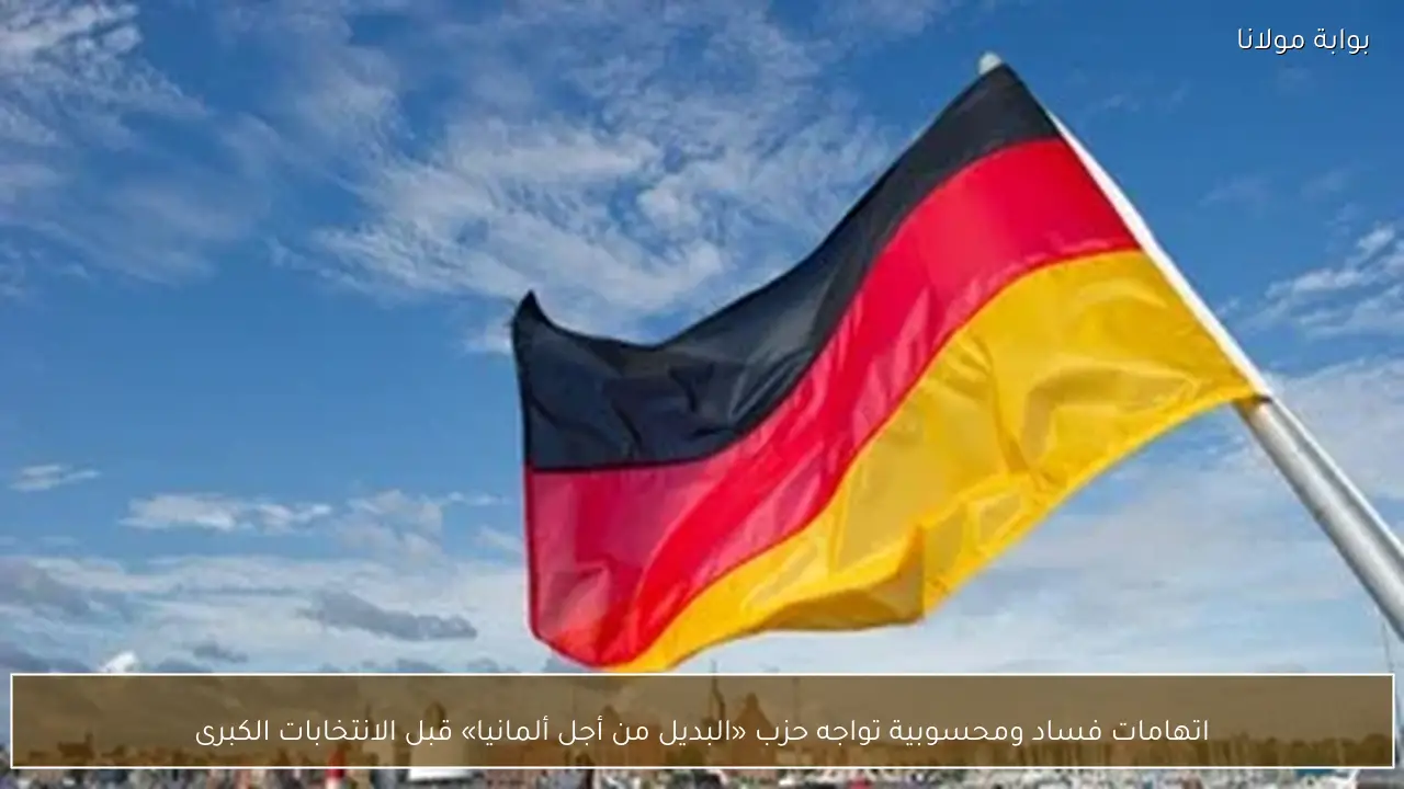 اتهامات فساد ومحسوبية تواجه حزب «البديل من أجل ألمانيا» قبل الانتخابات الكبرى