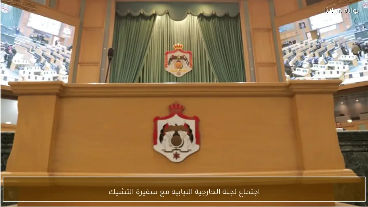 اجتماع لجنة الخارجية النيابية مع سفيرة التشيك