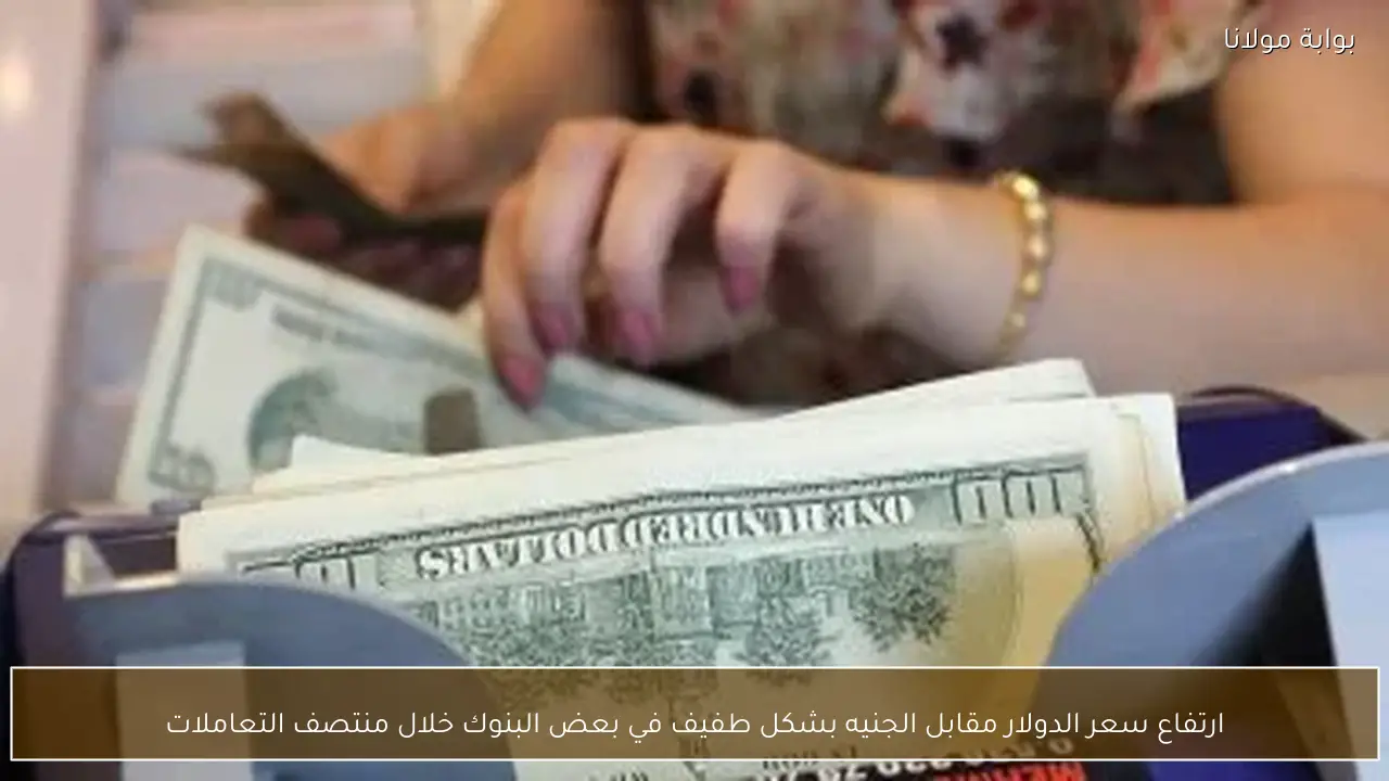 ارتفاع سعر الدولار مقابل الجنيه بشكل طفيف في بعض البنوك خلال منتصف التعاملات