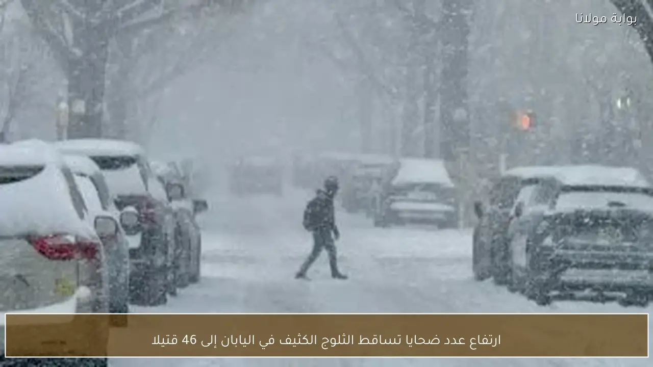 ارتفاع عدد ضحايا تساقط الثلوج الكثيف في اليابان إلى 46 قتيلا