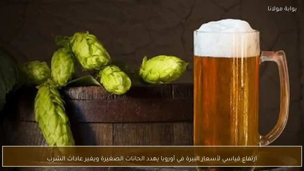 ارتفاع قياسي لأسعار البيرة في أوروبا يهدد الحانات الصغيرة ويغير عادات الشرب