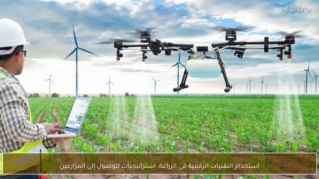 استخدام التقنيات الرقمية في الزراعة: استراتيجيات للوصول إلى المزارعين