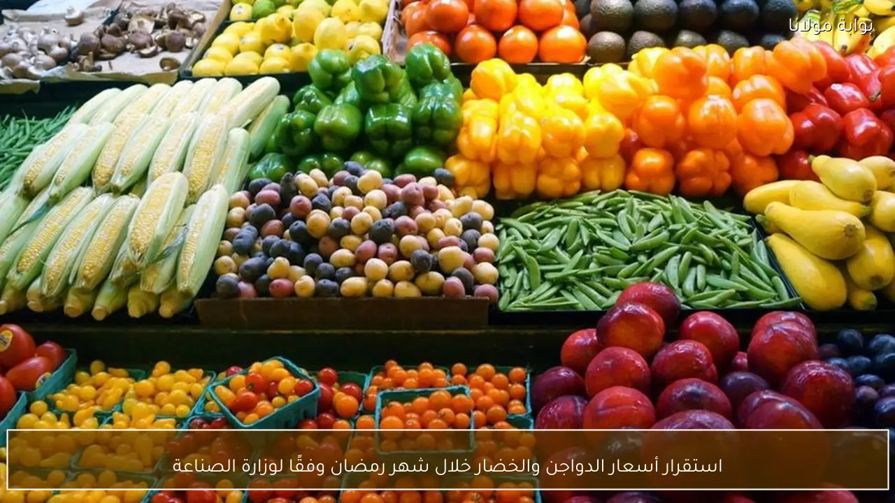 استقرار أسعار الدواجن والخضار خلال شهر رمضان وفقًا لوزارة الصناعة