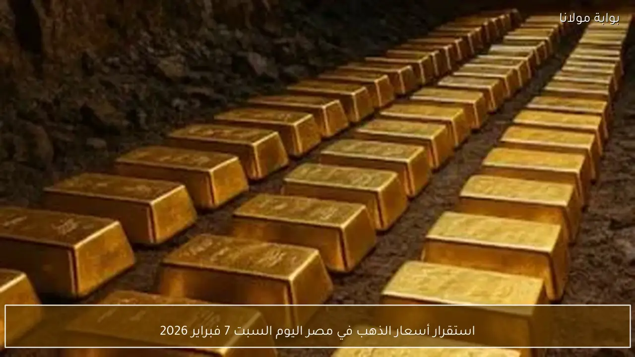 استقرار أسعار الذهب في مصر اليوم السبت 7 فبراير 2026