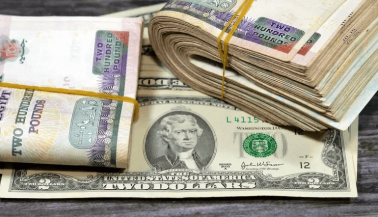 استقرار سعر الدولار عند متوسط بيع 47.01 جنيه ختام التعاملات