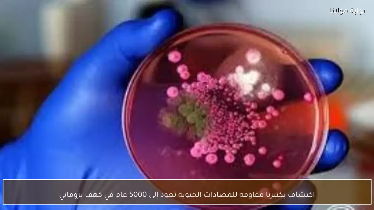 اكتشاف بكتيريا مقاومة للمضادات الحيوية تعود إلى 5000 عام في كهف بروماني