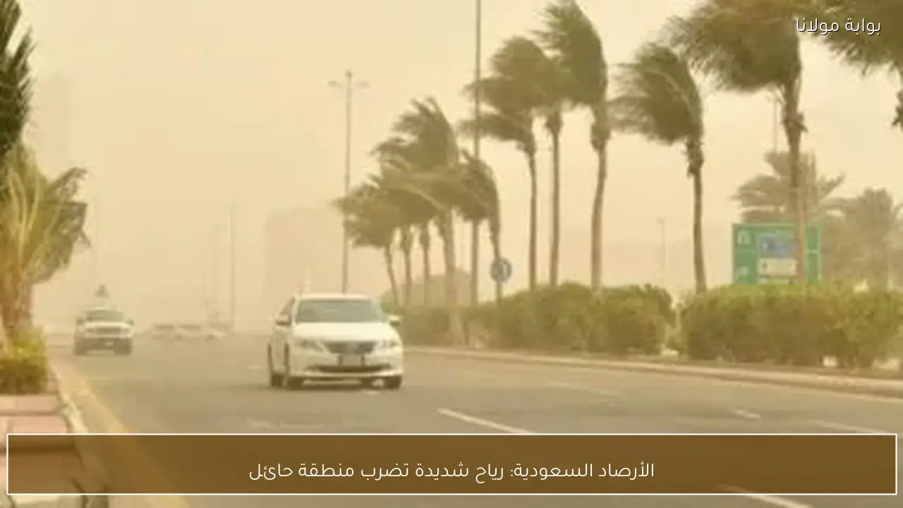 الأرصاد السعودية: رياح شديدة تضرب منطقة حائل