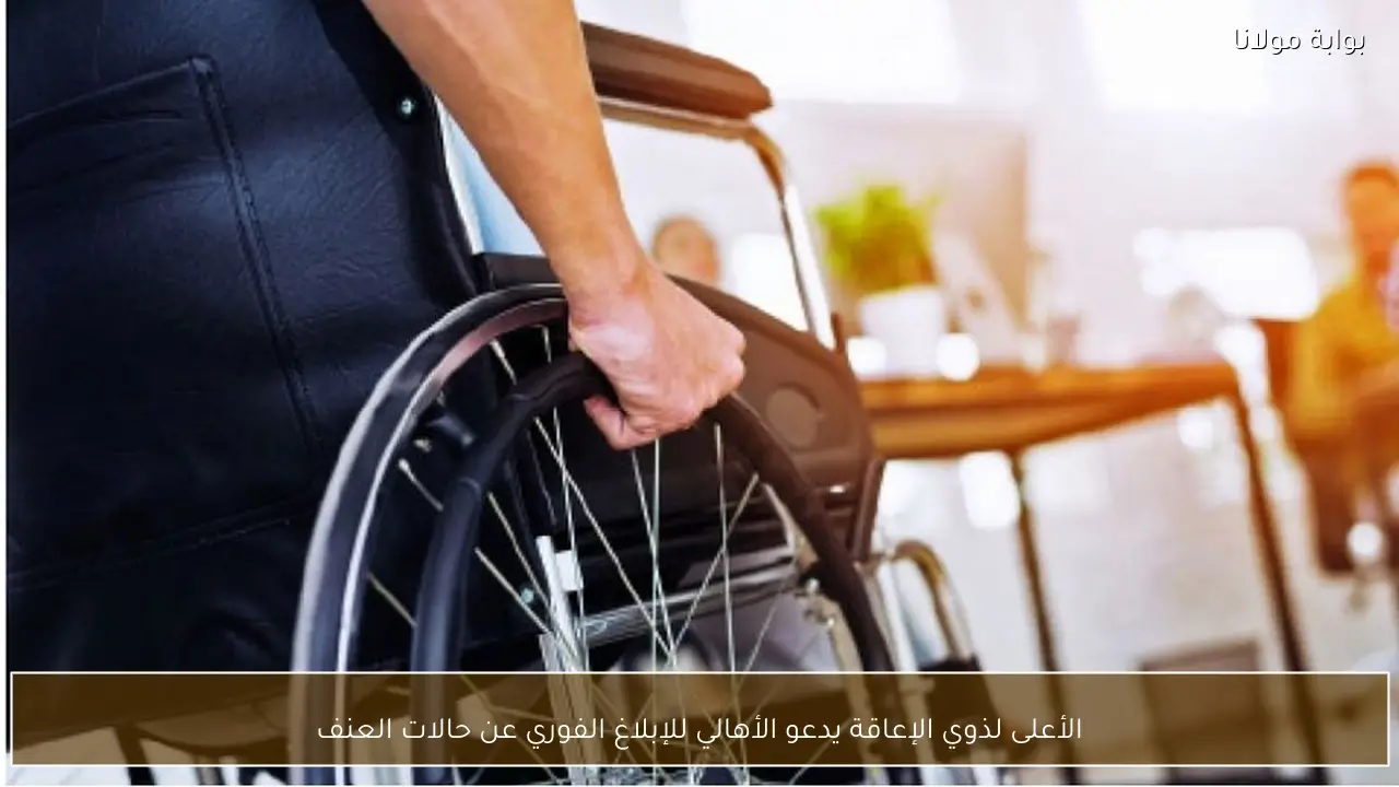 الأعلى لذوي الإعاقة يدعو الأهالي للإبلاغ الفوري عن حالات العنف