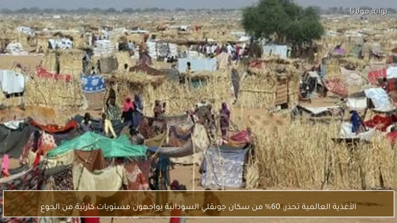 الأغذية العالمية تحذر: 60% من سكان جونقلي السودانية يواجهون مستويات كارثية من الجوع