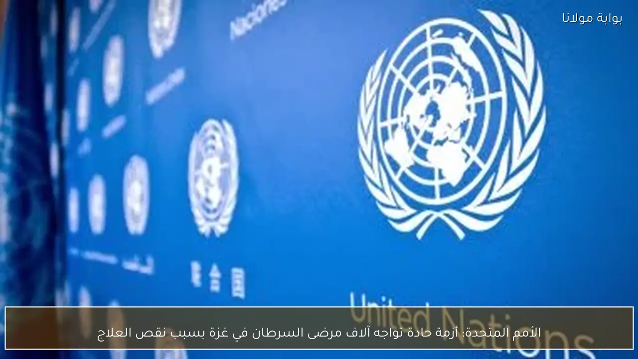 الأمم المتحدة: أزمة حادة تواجه آلاف مرضى السرطان في غزة بسبب نقص العلاج