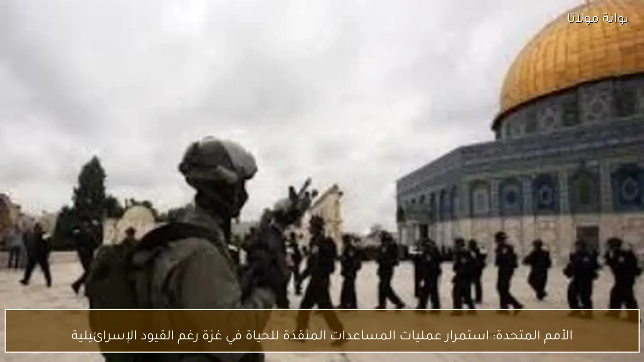 الأمم المتحدة: استمرار عمليات المساعدات المنقذة للحياة في غزة رغم القيود الإسرائيلية