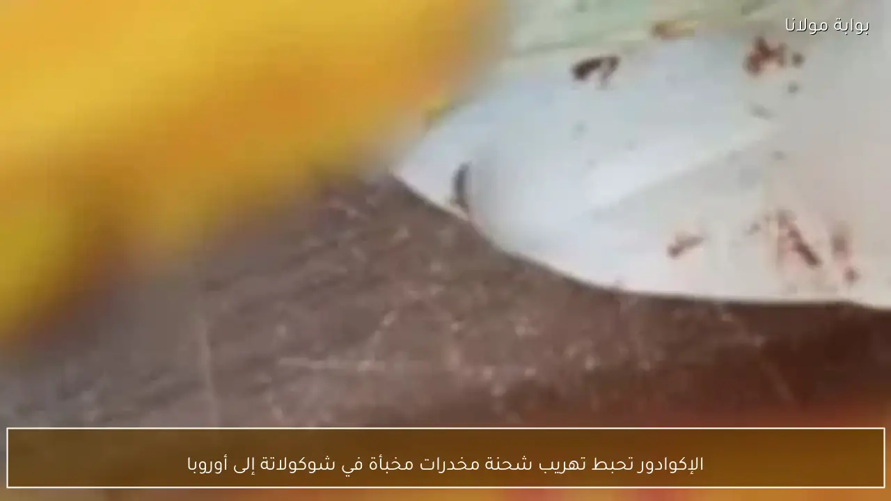 الإكوادور تحبط تهريب شحنة مخدرات مخبأة في شوكولاتة إلى أوروبا