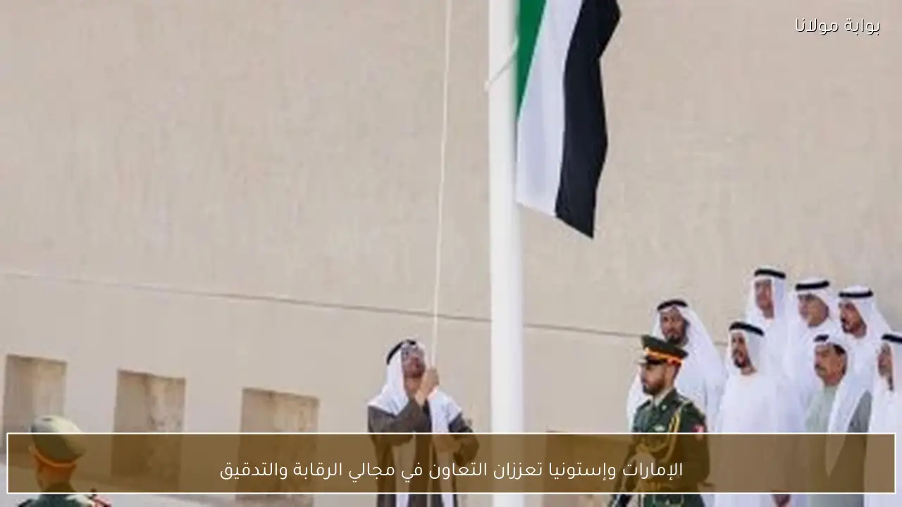 الإمارات وإستونيا تعززان التعاون في مجالي الرقابة والتدقيق