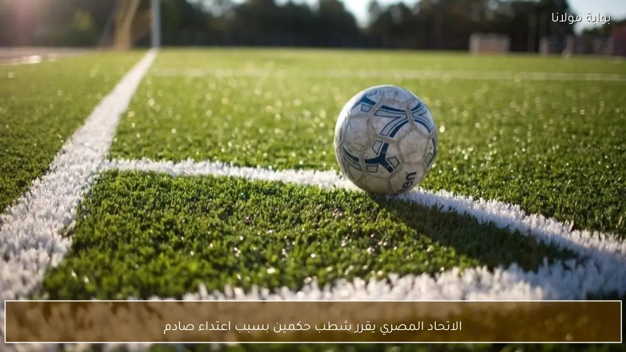 الاتحاد المصري يقرر شطب حكمين بسبب اعتداء صادم