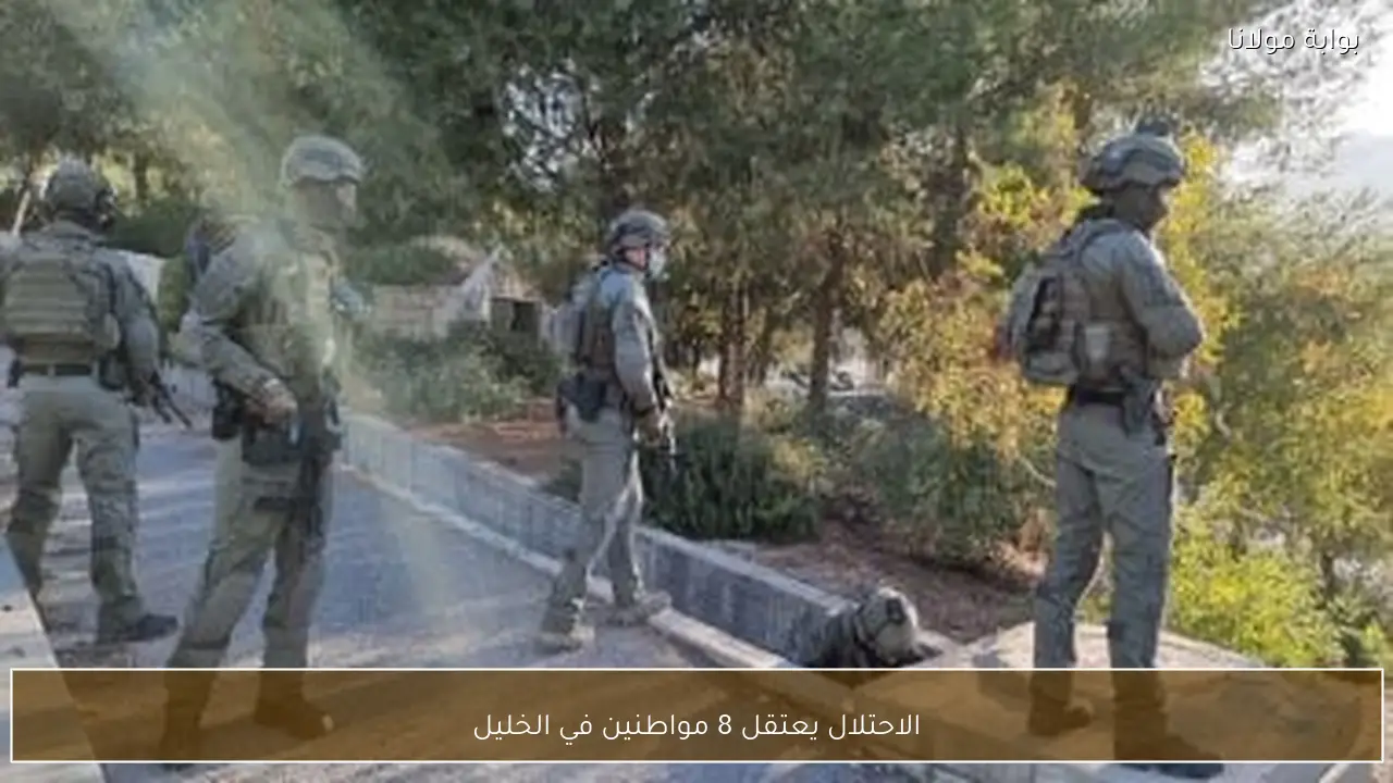 الاحتلال يعتقل 8 مواطنين في الخليل
