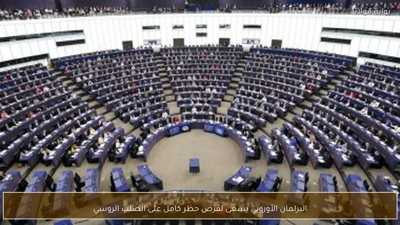 البرلمان الأوروبي يسعى لفرض حظر كامل على الصلب الروسي