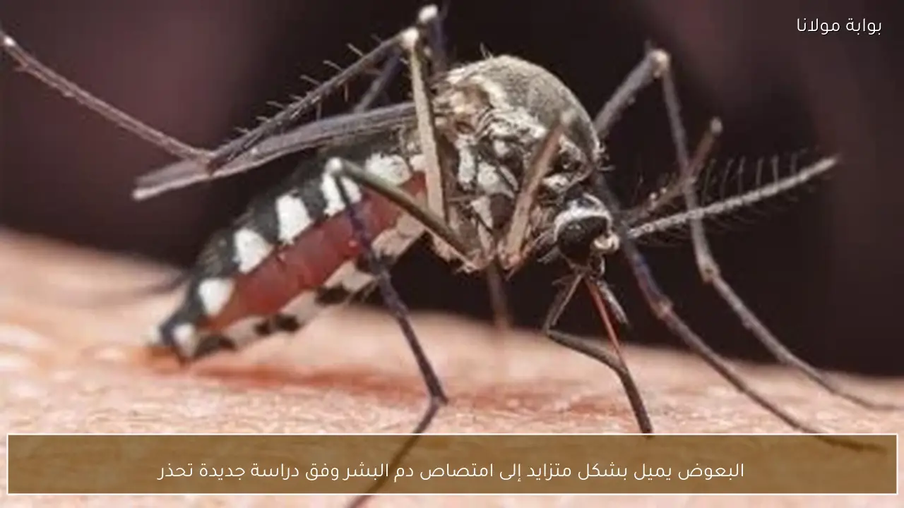 البعوض يميل بشكل متزايد إلى امتصاص دم البشر وفق دراسة جديدة تحذر