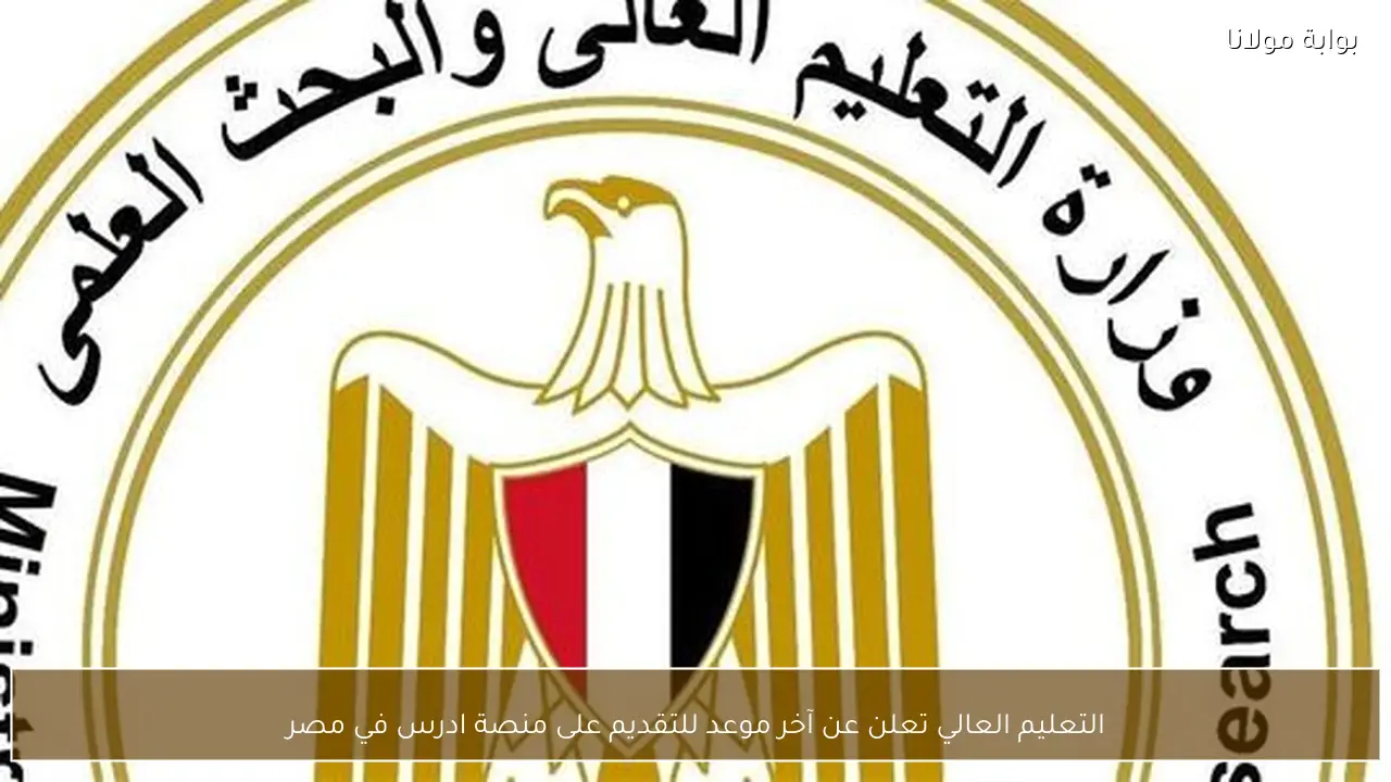 التعليم العالي تعلن عن آخر موعد للتقديم على منصة ادرس في مصر