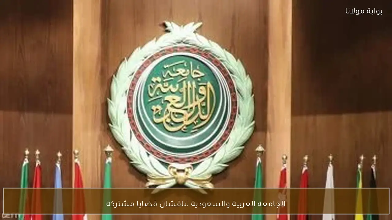 الجامعة العربية والسعودية تناقشان قضايا مشتركة