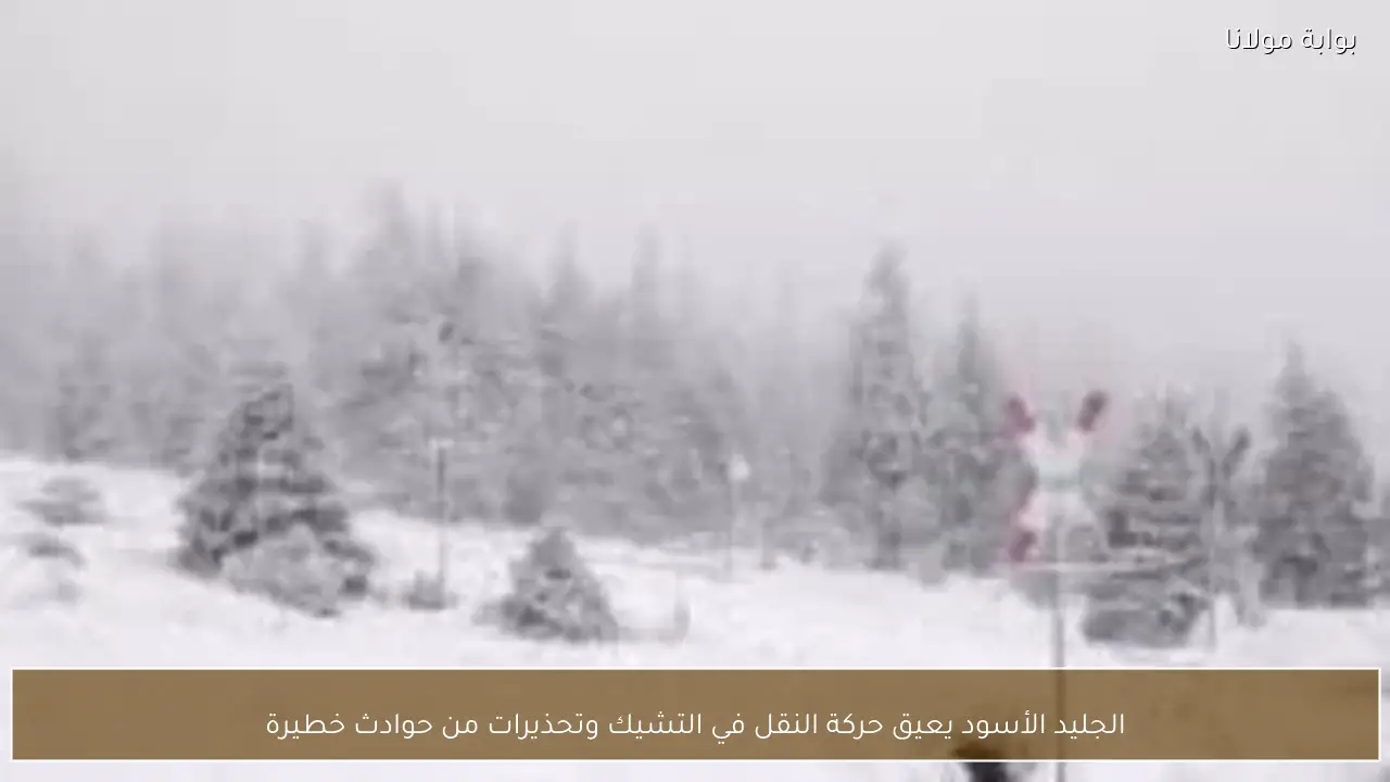 الجليد الأسود يعيق حركة النقل في التشيك وتحذيرات من حوادث خطيرة