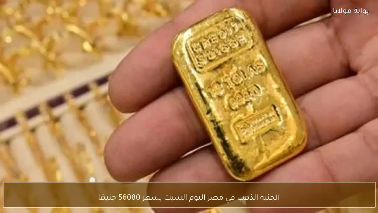 الجنيه الذهب في مصر اليوم السبت بسعر 56080 جنيهًا