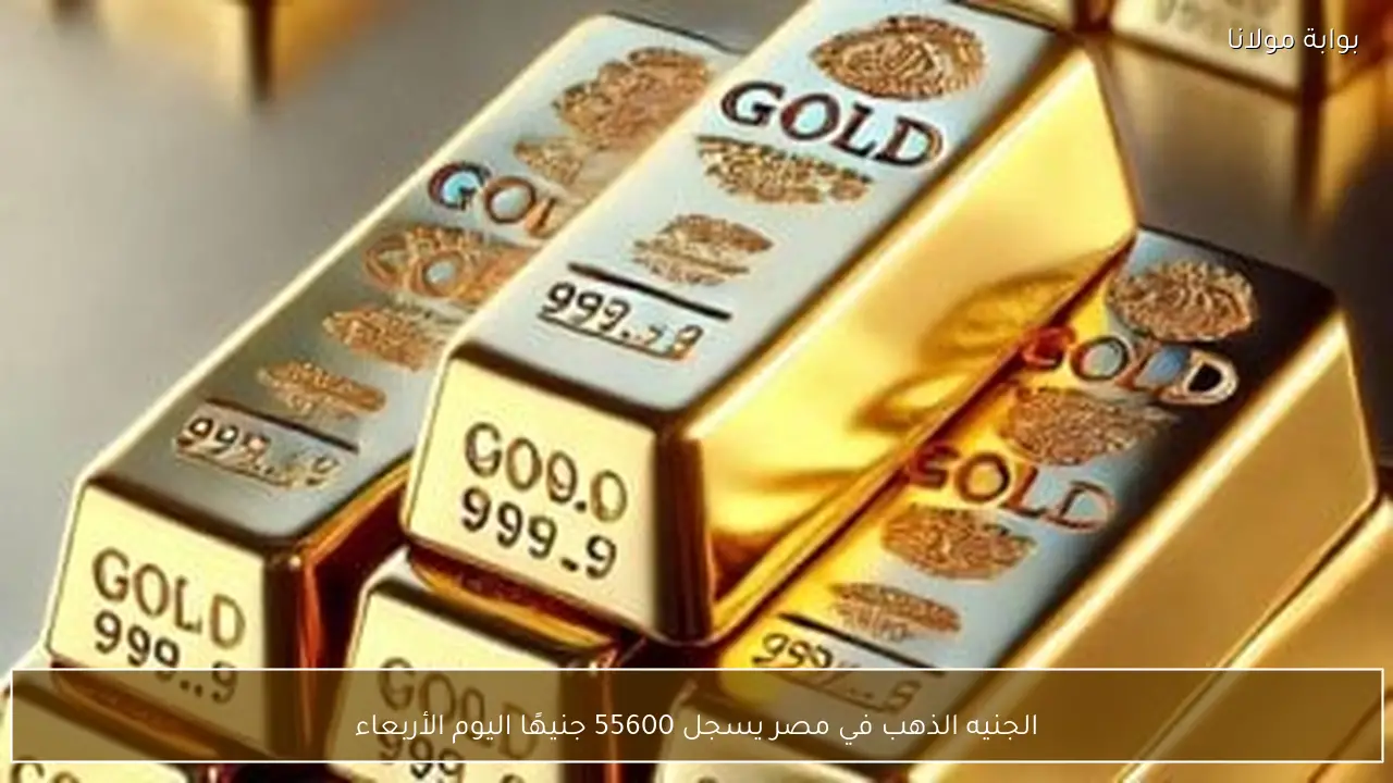 الجنيه الذهب في مصر يسجل 55600 جنيهًا اليوم الأربعاء