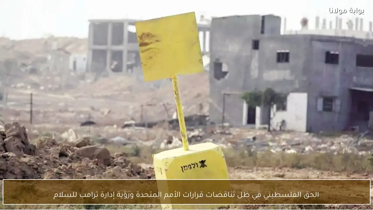 الحق الفلسطيني في ظل تناقضات قرارات الأمم المتحدة ورؤية إدارة ترامب للسلام