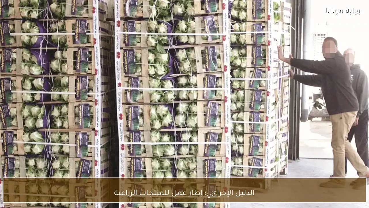 الدليل الإجرائي: إطار عمل للمنتجات الزراعية